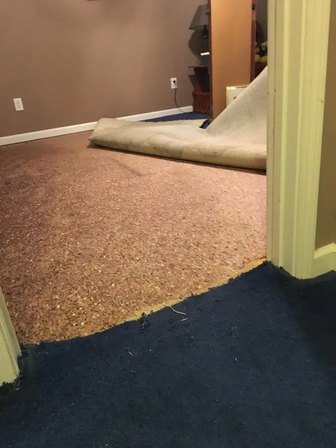 Carpet pad removal revealing water damage during Water Mitigation Services in East Stroudsburg