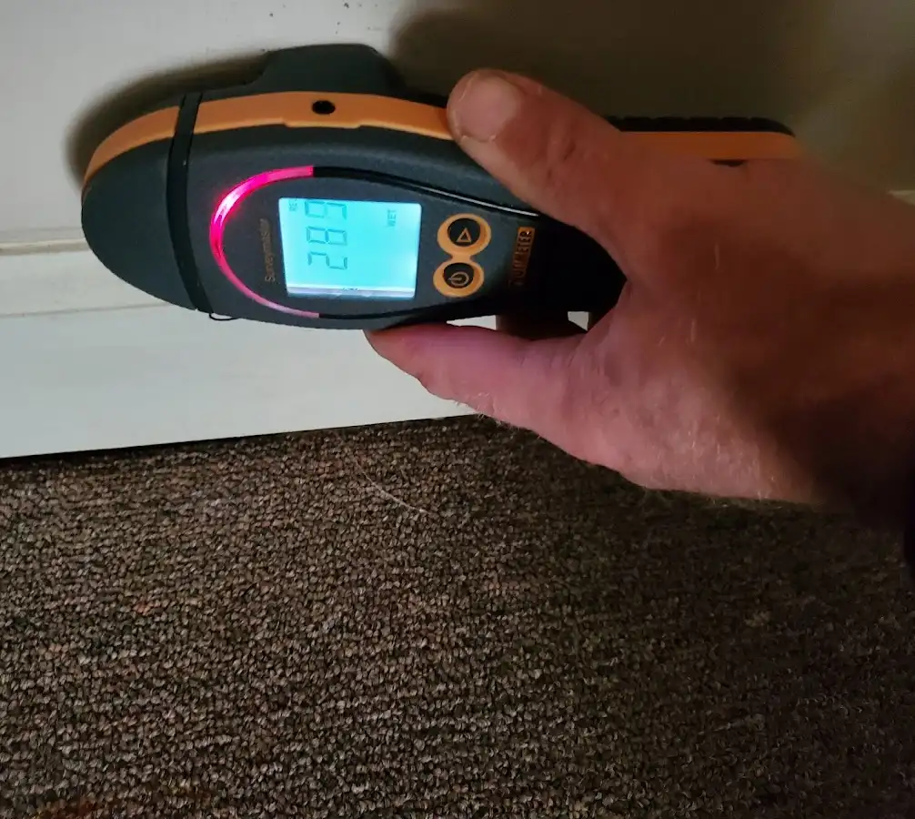 Moisture detection at baseboard during Sewage Cleanup & Sanitation in East Stroudsburg
